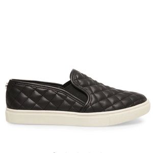 Steve Madden “Ecentrcq Black” Flat Sneaker